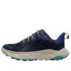 Anacapa 2 ‚Varsity Navy Mountain Iris‘