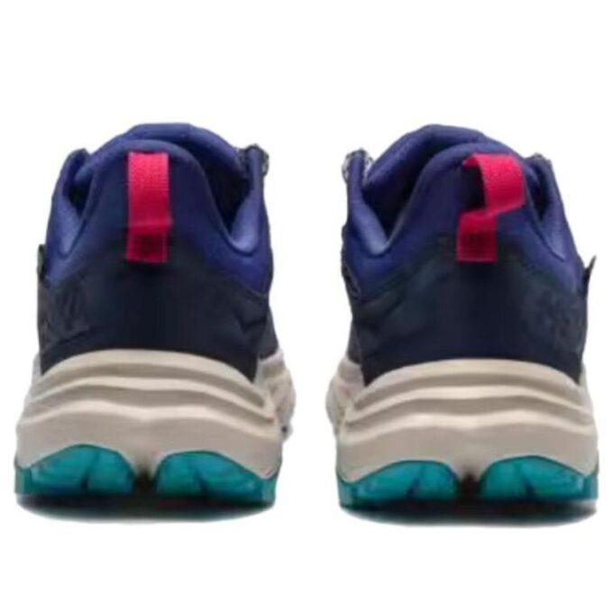 Anacapa 2 ‚Varsity Navy Mountain Iris‘