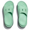 Ora Recovery Folie 3 „Mist Green Trellis“