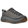 Tor Summit ‚Asteroid Satellite Grey‘