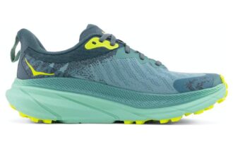 (WMNS) Challenger ATR 7 GTX ‚Trellis Balsam Green‘