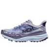 (WMNS) Stinson 7 „Cosmic Sky Meteor“
